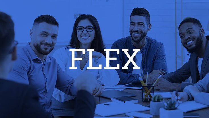 FLEX event graphic